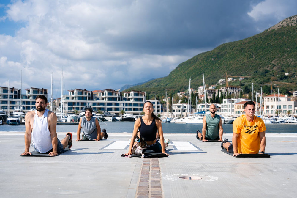 Online Training Program